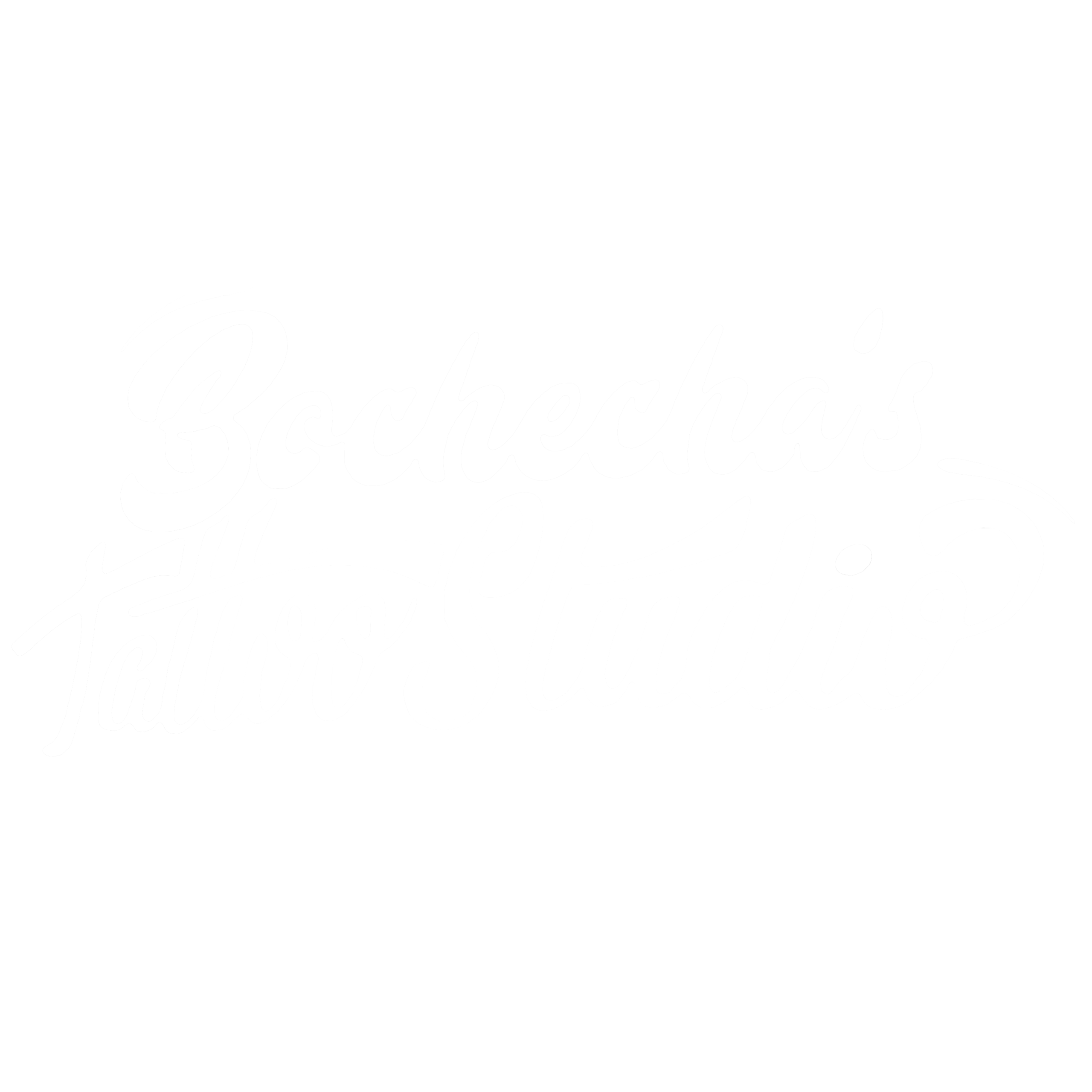 Bochecas Tattoo Studio
